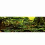 Reptile Habitat Background; Rain Forest, for 48Lx18Wx18H Terrarium, 3-Sided Wraparound-0