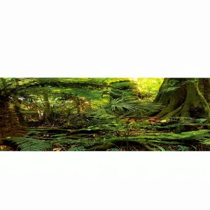 Reptile Habitat Background; Rain Forest, for 48Lx18Wx18H Terrarium, 3-Sided Wraparound-0