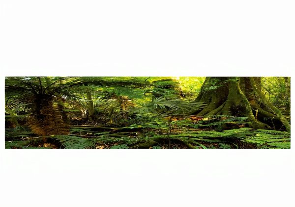 Reptile Habitat Background; Rain Forest, for 48Lx18Wx18H Terrarium, 3-Sided Wraparound-0