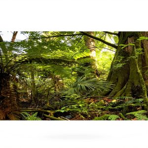 Reptile Habitat Background; Rain Forest, for 36Lx18Wx18H Terrarium, 3-Sided Wraparound-0