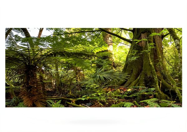 Reptile Habitat Background; Rain Forest, for 36Lx18Wx18H Terrarium, 3-Sided Wraparound-0