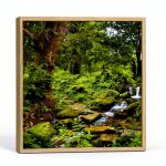 Reptile Habitat Rain Forest 3‑Side Wraparound Carolina 36Lx18Wx36H-0