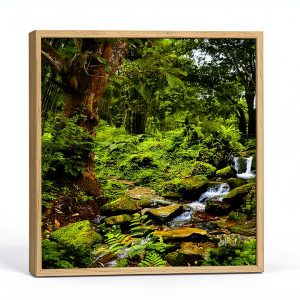 Reptile Habitat Rain Forest 3‑Side Wraparound Carolina 36Lx18Wx36H-0