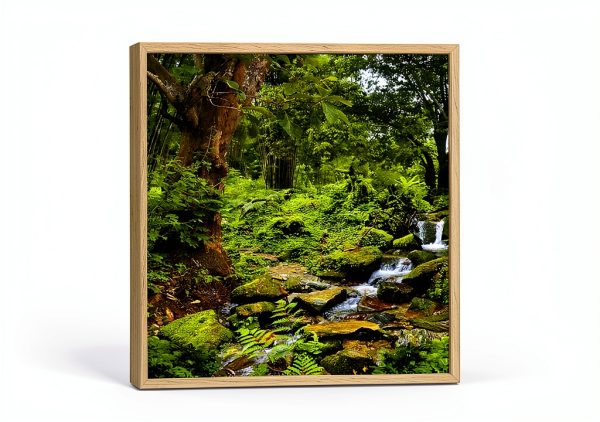 Reptile Habitat Rain Forest 3‑Side Wraparound Carolina 36Lx18Wx36H-0