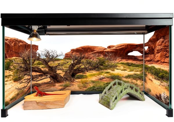 Reptile Habitat Background; Double Arch with Tree for 20L, 3-Sided Wraparound-1