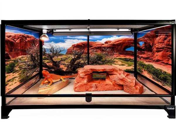 Reptile Habitat Background; Double Arch with Tree, for 48Lx24Wx24H Terrarium, 3-Sided Wraparound-1