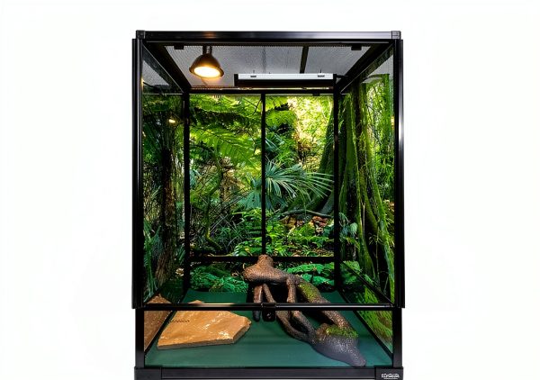 Reptile Habitat Background; Rain Forest, for 36Lx18Wx18H Terrarium, 3-Sided Wraparound-1