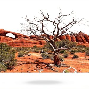 Reptile Habitat Background Arch Tree by Carolina Custom Cages 48L Wrap-0