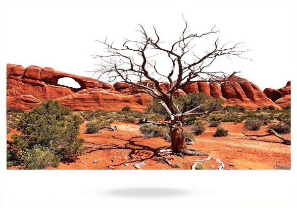 Reptile Habitat Background Arch Tree by Carolina Custom Cages 48L Wrap-0