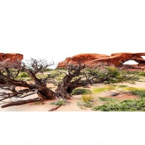Reptile Habitat Background; Double Arch with Tree for 20L, 3-Sided Wraparound-0