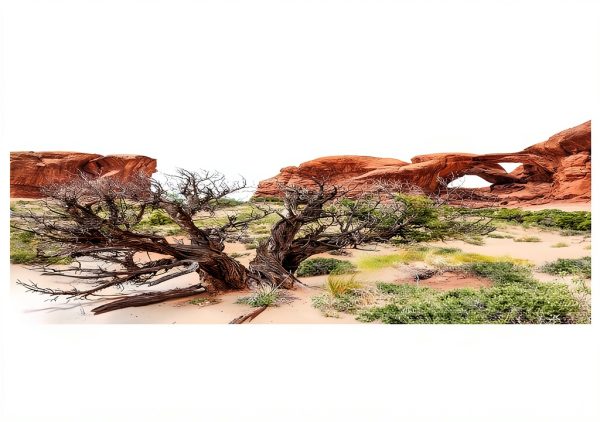 Reptile Habitat Background; Double Arch with Tree for 20L, 3-Sided Wraparound-0