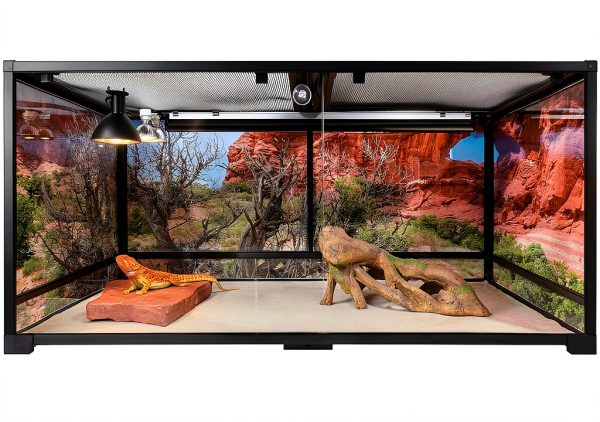 Reptile Habitat Background; Double Arch with Tree, for 48Lx24Wx24H Terrarium, 3-Sided Wraparound-2